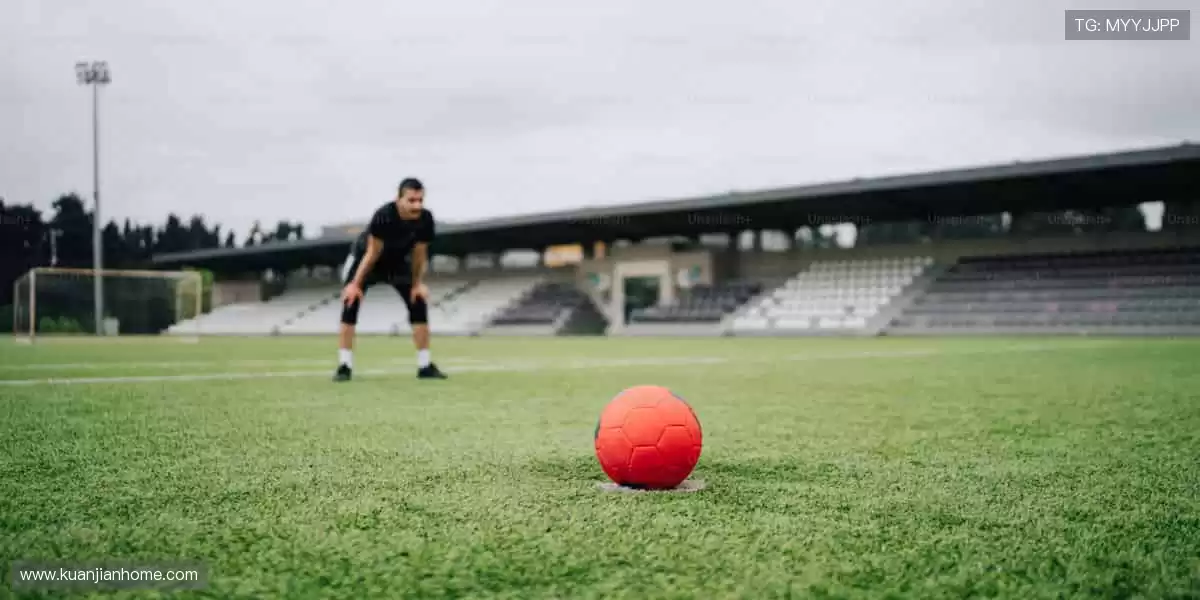 体育周边，冠军同款，你的专属装备库！🏆🎯